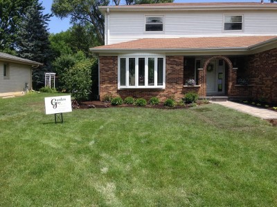 Dogwood Tree, Boxwoods and Assorted Perennials   Front Entrance Remodel in Arlington Heights 