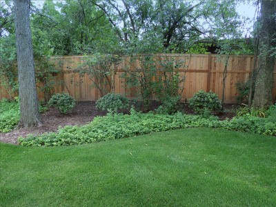 Solar-Backyard Landscaping Project