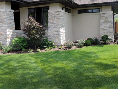 Solar-Japanese-Maple Landscaping Project