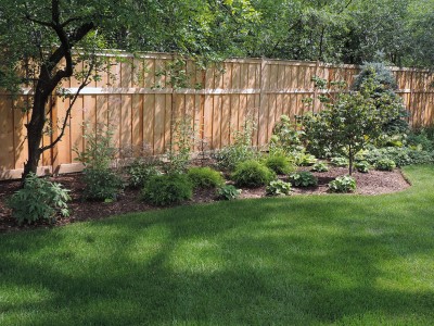 Solar-Shade-Tolerant-Shrubs Landscaping Project