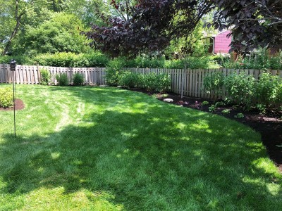 New sod landscaping and mulch 