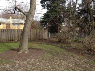 Before   Arlington Heights Backyard Landscaping 