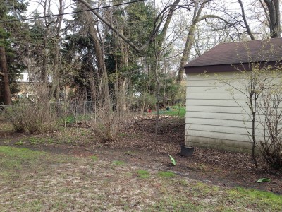 Before   Arlington Heights Backyard Landscaping 