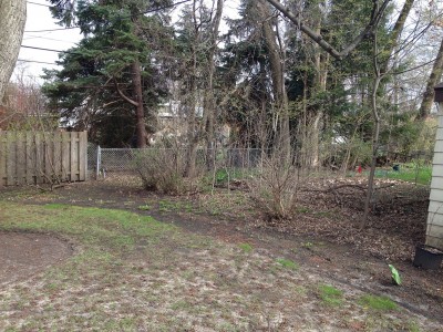 Before   Arlington Heights Backyard Landscaping 