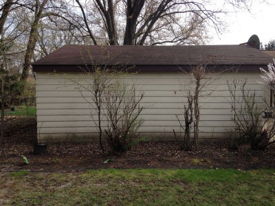 Before   Arlington Heights Backyard Landscaping(6) 