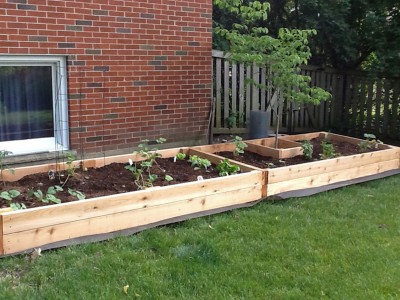 Raised Garden Beds Landscaping Project 