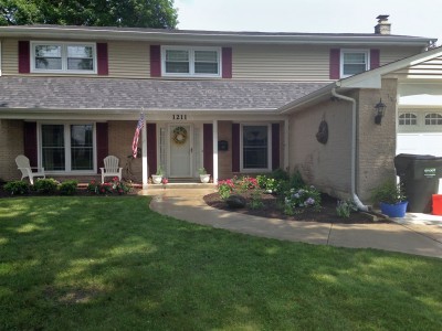 Front Entrance Walkway-with-Evergreens,-Shrubs-and-Perennials Front-Landscape-Remodel-in-Arlington-Heights