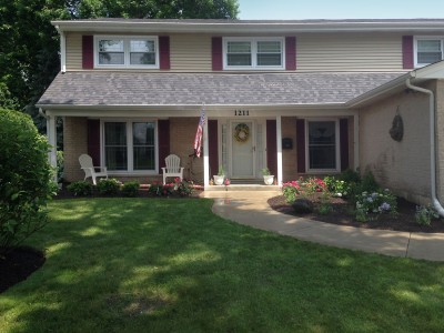 Front Entrance Walkway-with-Evergreens,-Shrubs-and-Perennials---Front-Landscape-Remodel-in-Arlington-Heights
