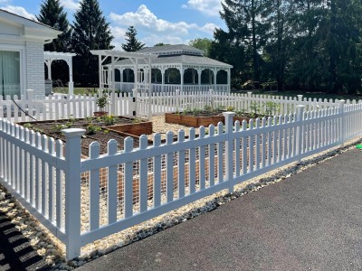 Vegetable garden and pergola 