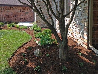 Front Entrance Planting-Bed, Elk-Grove
