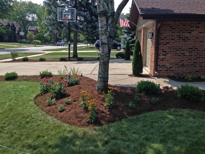 Front Entrance Yard-Perennials, Elk-Grove