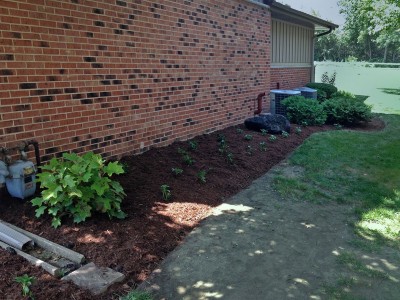 North Side Bed, Elk Grove 