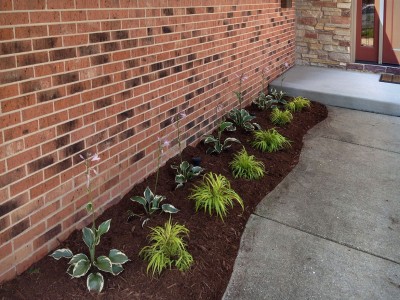 Shade Perennials, Elk Grove 