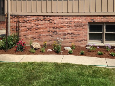 South Side Perennials, Elk Grove, 2nd View 