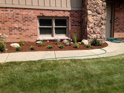 South Side Perennials, Elk Grove 