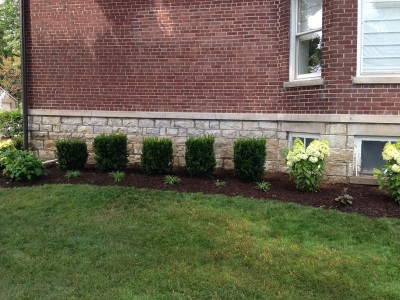 East View, Arlington Heights 