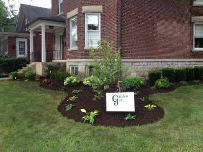 Street View, Arlington Heights 