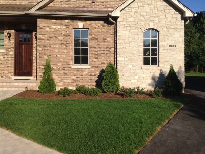 Arborvitaes,-Spireas-Shrubs-and-Rose-Bushes---New-Construction-in-Northbrook