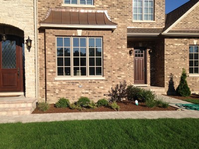 Boxwoods,-Ornamental-Grass,-Salvias-and-Purple-Leaf-Sandcherry---New-Construction-in-Northbrook