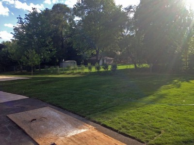 New Sod   New Construction in Northbrook Sod