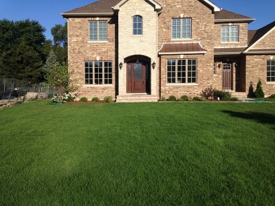 Front Entrance view, New Sod and Plantings   New Construction in Northbrook Entrance Sod
