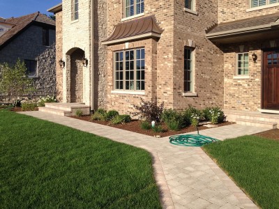 River-Birch,-Hydrangeas,-Boxwoods,-Purple-Leaf-Sandcherry-and-Assorted-Perennials---New-Construction-in-Northbrook