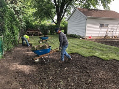 Installation of new sod 