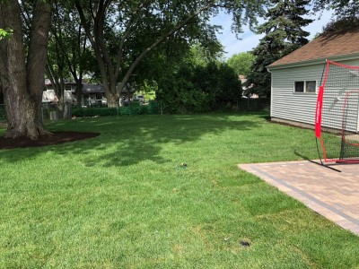 New sod and landscaping 