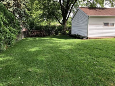 New sod installation and grading 