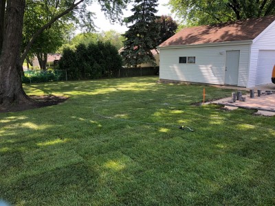 New sod installation 