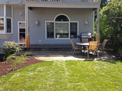 Burning Bush, Ornamental Grasses, Re grading and New Sod   Paver Patio and Stoop in Arlington Heights Sod