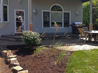 Burning-Bush,-Ornamental-Grasses,-Re-grading-and-New-Sod---Paver-Patio-and-Stoop-in-Arlington-Heights