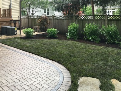 New sod and landscaping 