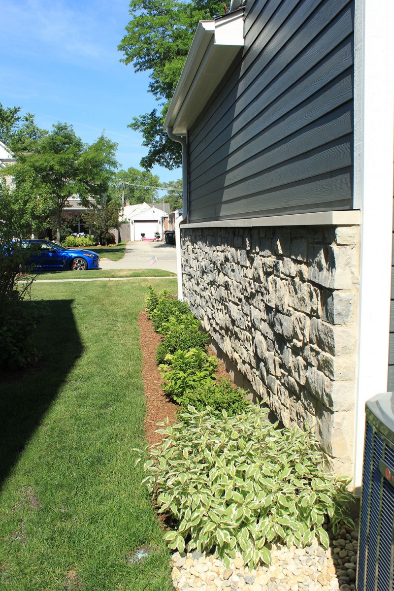 Side of house landscape 