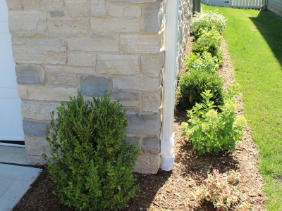 Side of house landscape 