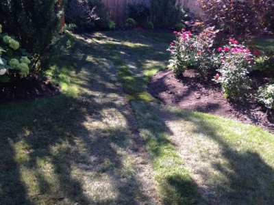 Rainwater Drainage Solutions   Glenview 