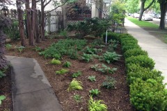 Wrigleyville Oasis - Landscape Project