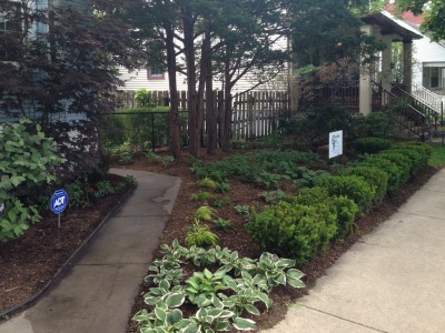 Front Entrance Yard Wrigleyville Landscaping, side view 