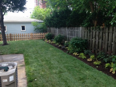 New Flower Bed - Wrigleyville Landscaping