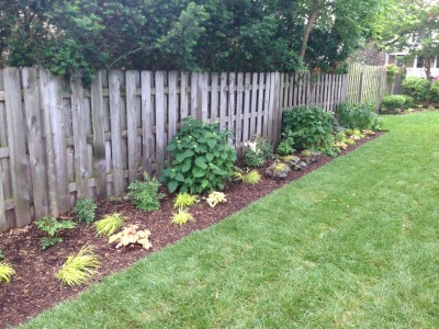 Updated Yard with Flower Bed and New Sod   Wrigleyville Landscaping Sod